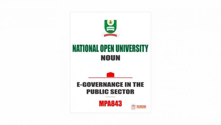 E-Governance in the Public Sector